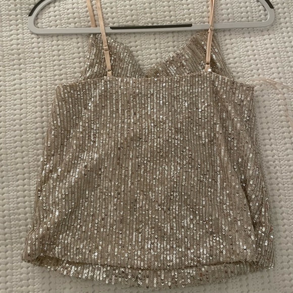 Endless Rose Sequin Camisole - Picture 4 of 4